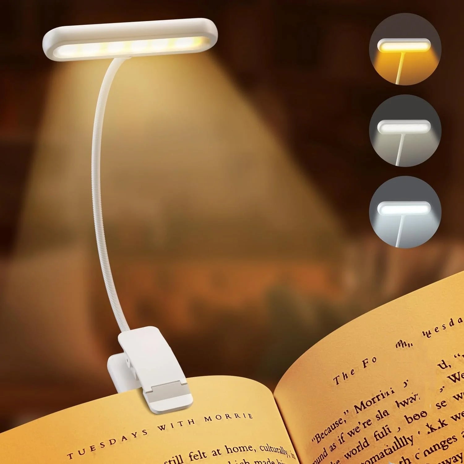 Clip Reading Light