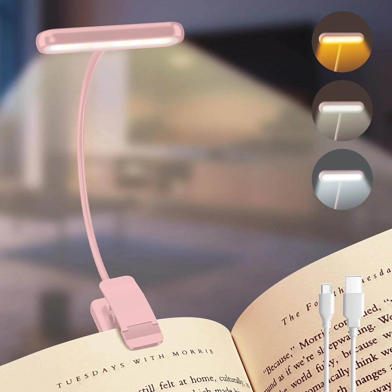 Clip Reading Light